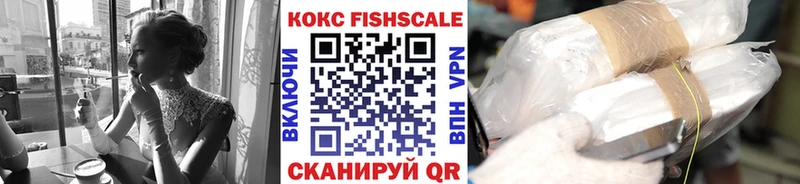 Кокаин FishScale  Купить где  Артёмовский 