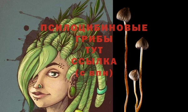 MDMA Premium VHQ Михайловск
