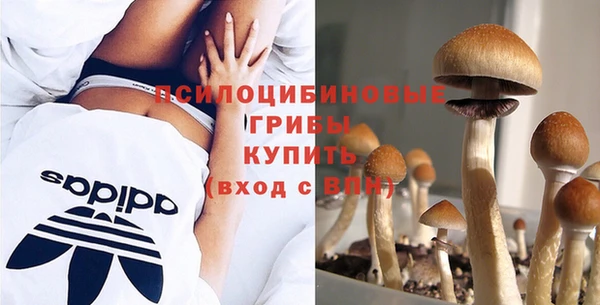 спиды Богородицк