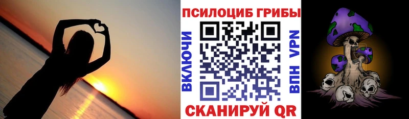 Купить закладки  Артёмовский  Псилоцибиновые грибы MAGIC MUSHROOMS 